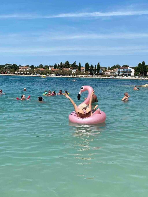 Appartamento Incantevole 300M Dal Mare Lignano Sabbiadoro Eksteriør billede
